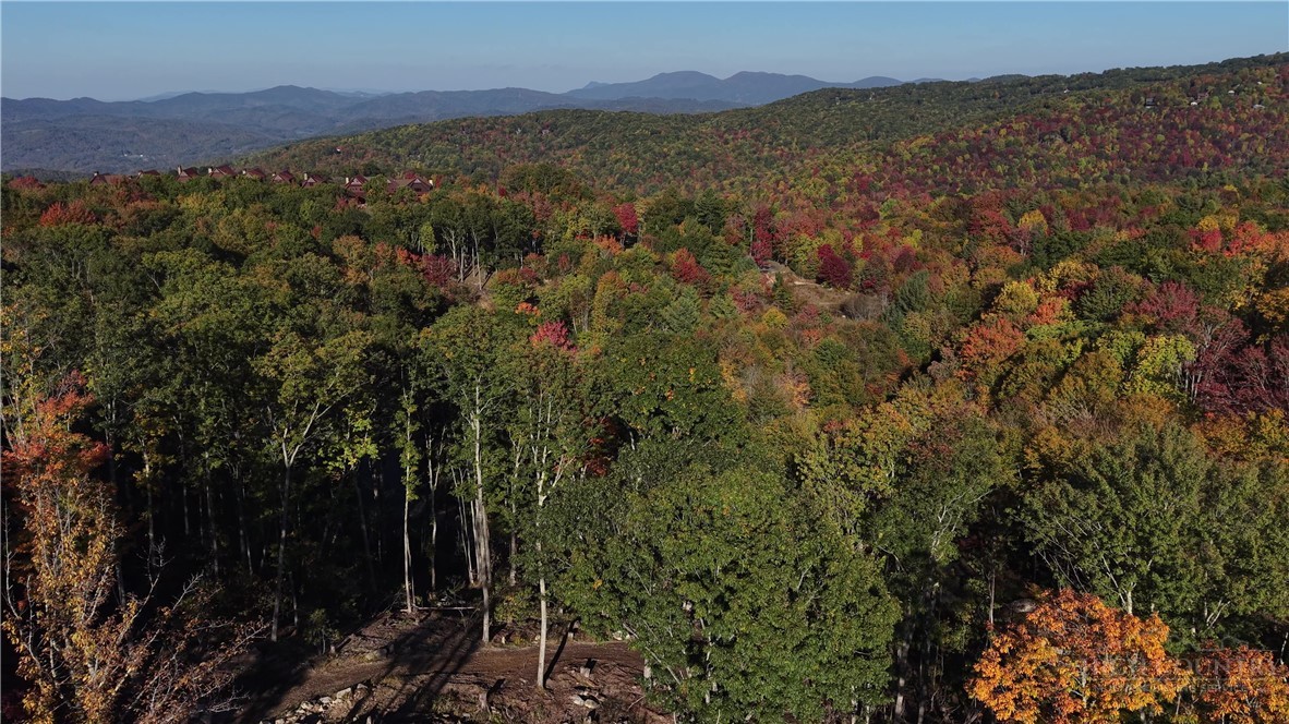 Lot #96 Eagles Nest Trail Property Photo 36