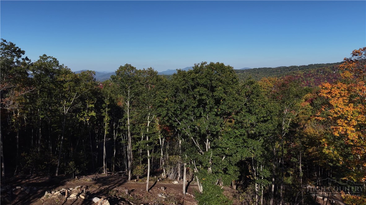 Lot #96 Eagles Nest Trail Property Photo 37