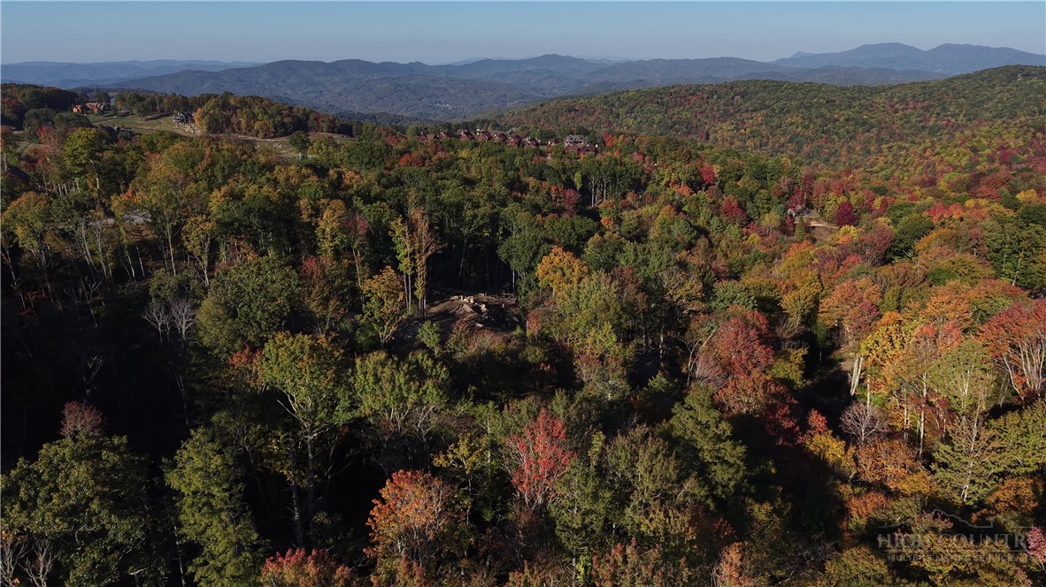 Lot #96 Eagles Nest Trail Property Photo 39