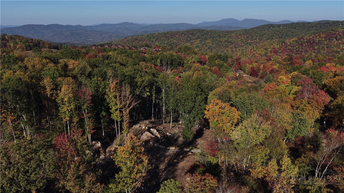 Lot #96 Eagles Nest Trail Property Photo 41