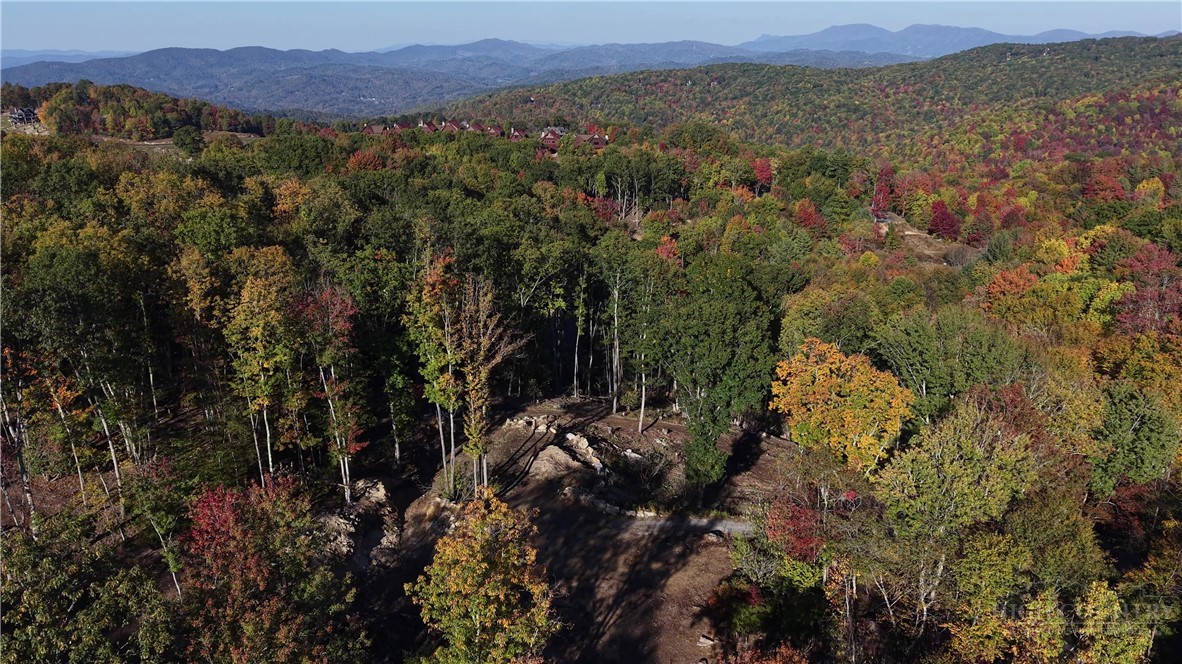 Lot #96 Eagles Nest Trail Property Photo 42