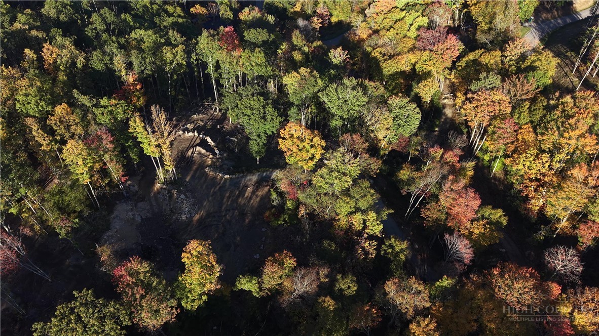 Lot #96 Eagles Nest Trail Property Photo 43