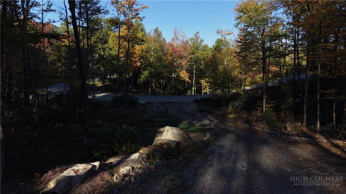 Lot #96 Eagles Nest Trail Property Photo 44