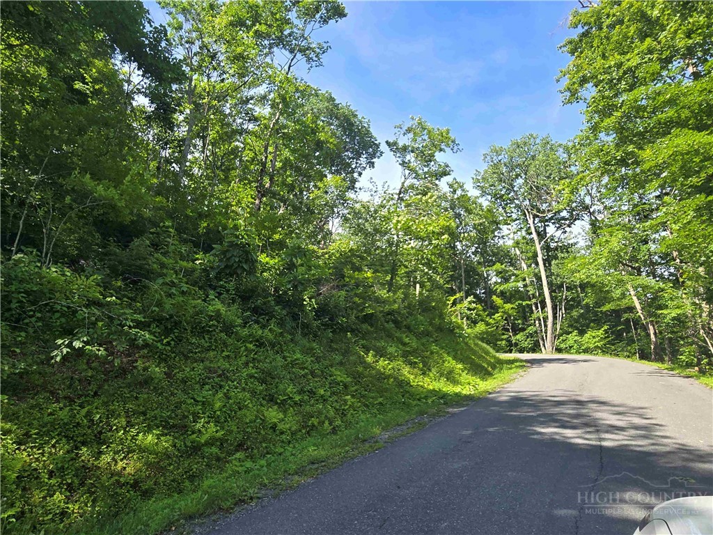 Tbd Green Cove Road Property Photo 2