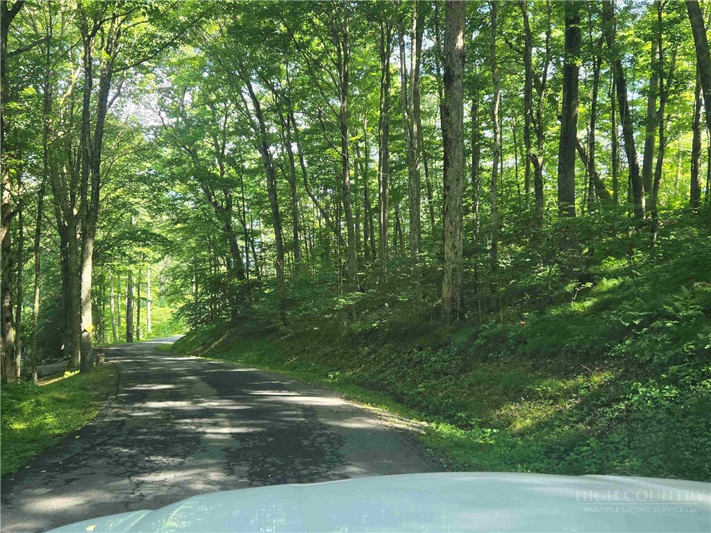 Tbd Green Cove Road Property Photo 3