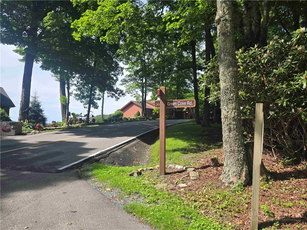 Tbd Green Cove Road Property Photo 4