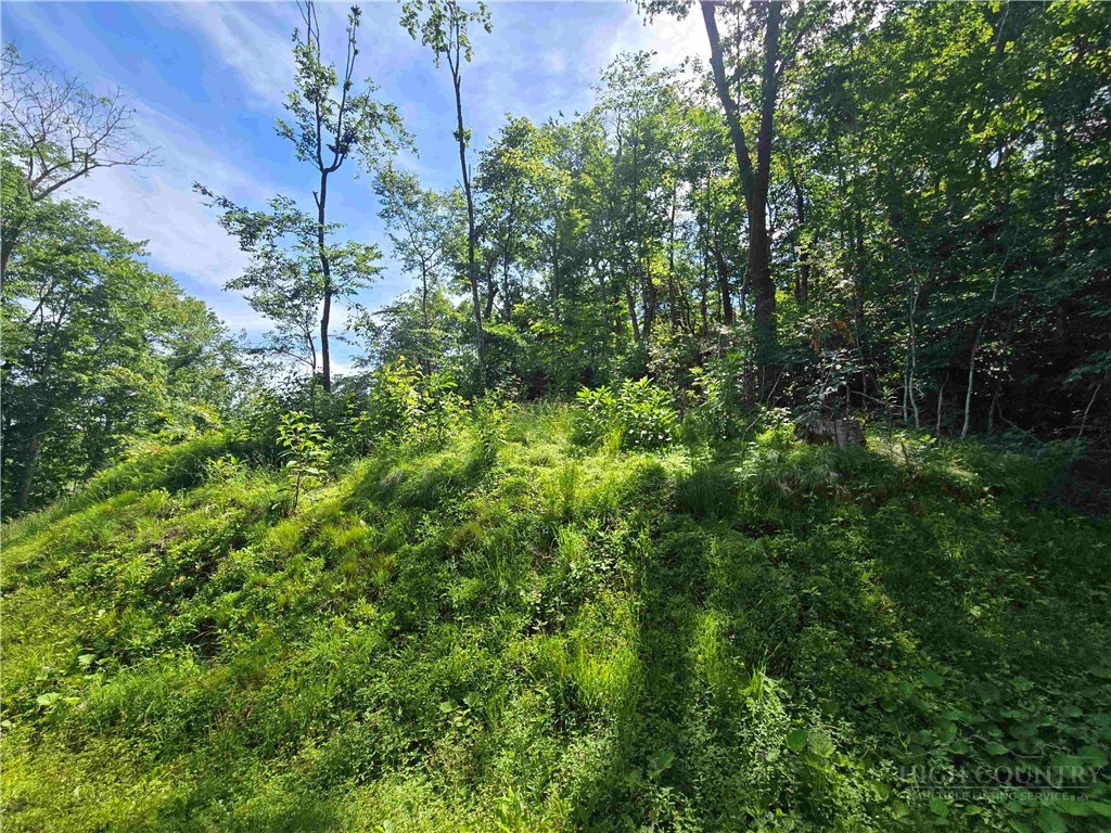 Tbd Green Cove Road Property Photo 5