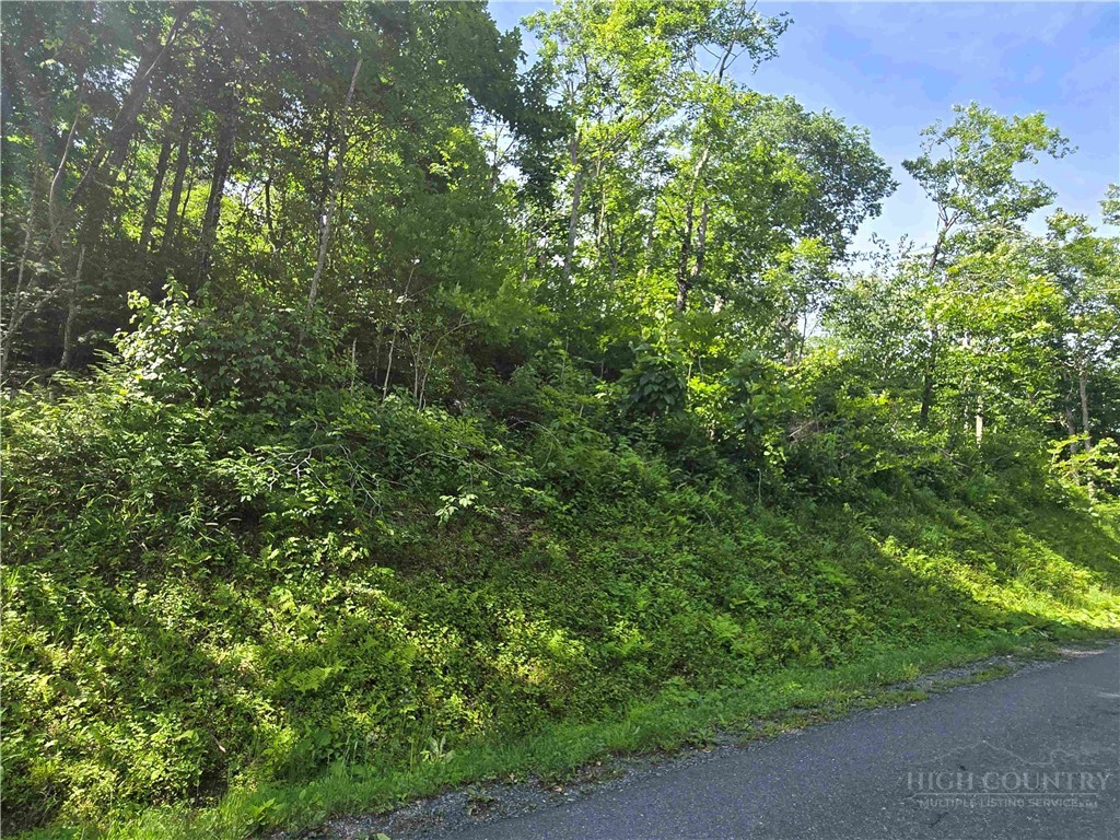 Tbd Green Cove Road Property Photo 6
