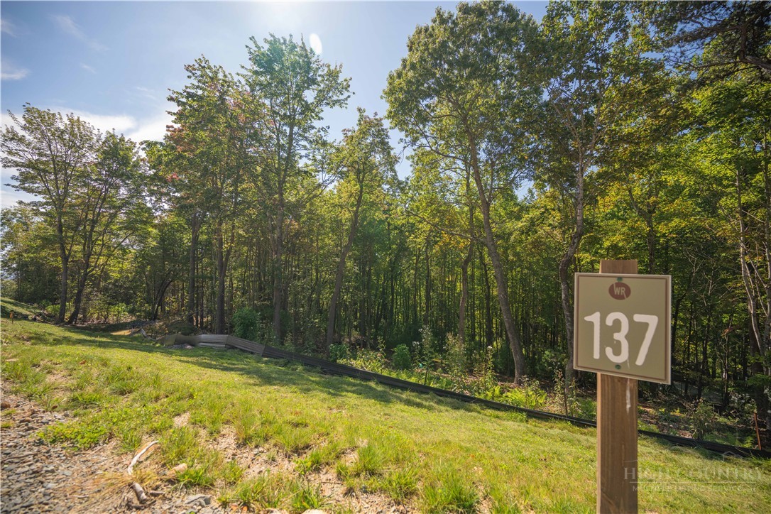 Lot 137 Angelfire Trail Property Photo 1