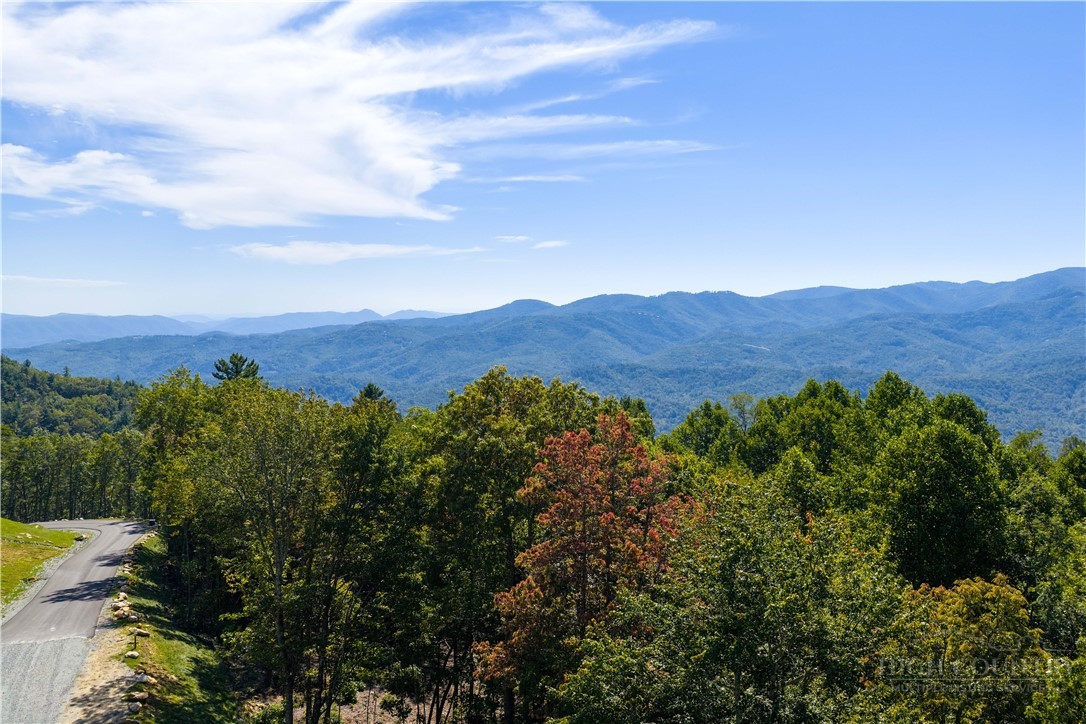 Lot 137 Angelfire Trail Property Photo 2