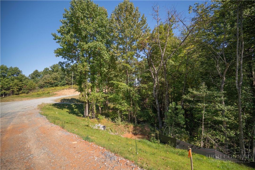 Lot 137 Angelfire Trail Property Photo 3