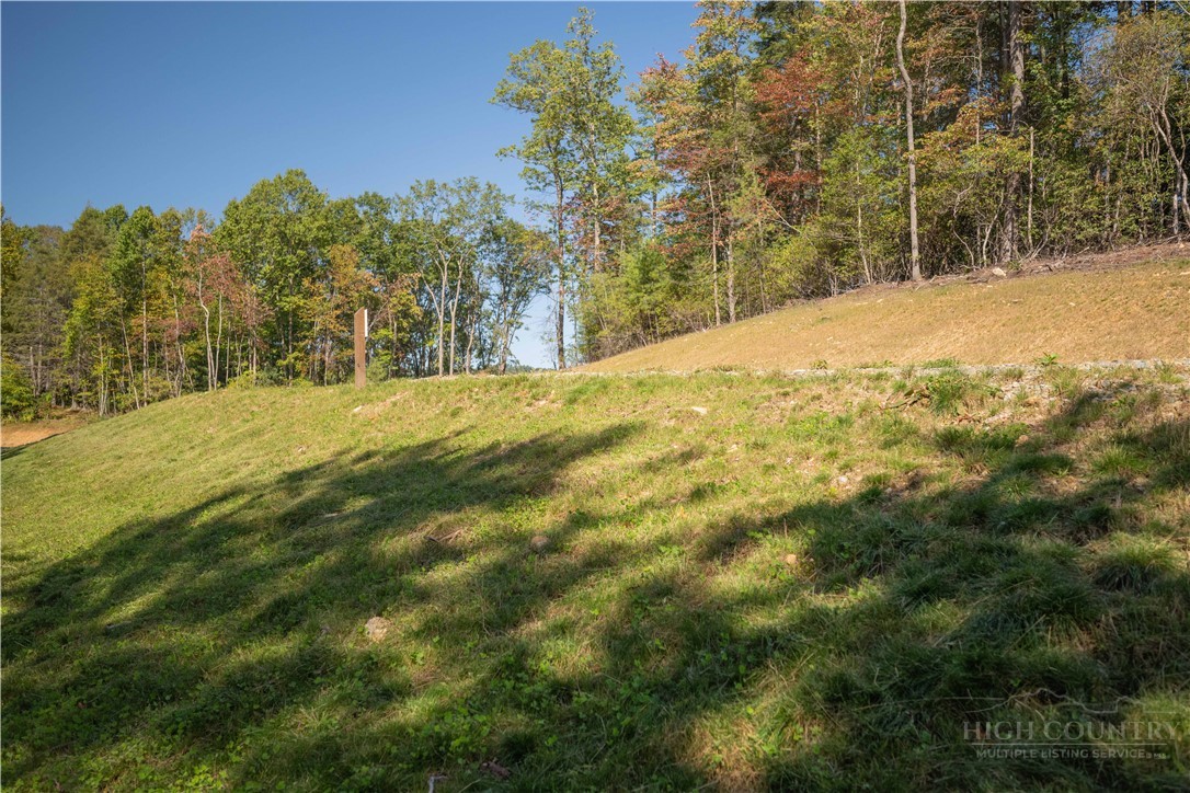 Lot 137 Angelfire Trail Property Photo 4