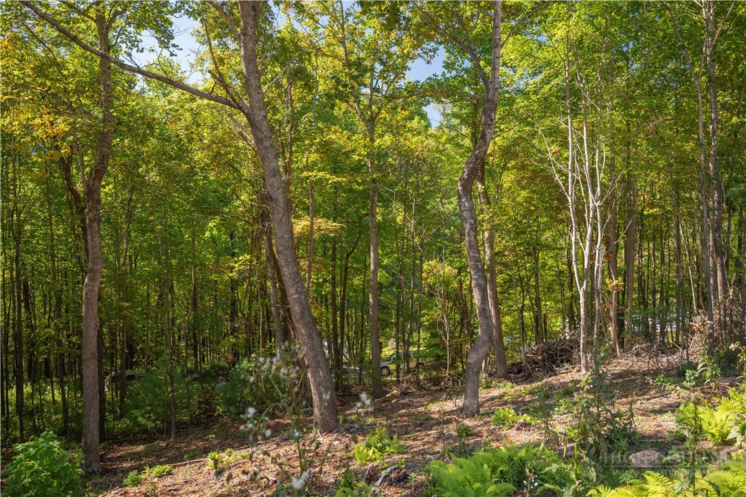 Lot 137 Angelfire Trail Property Photo 5