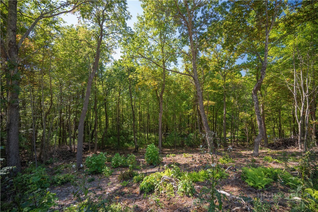 Lot 137 Angelfire Trail Property Photo 6