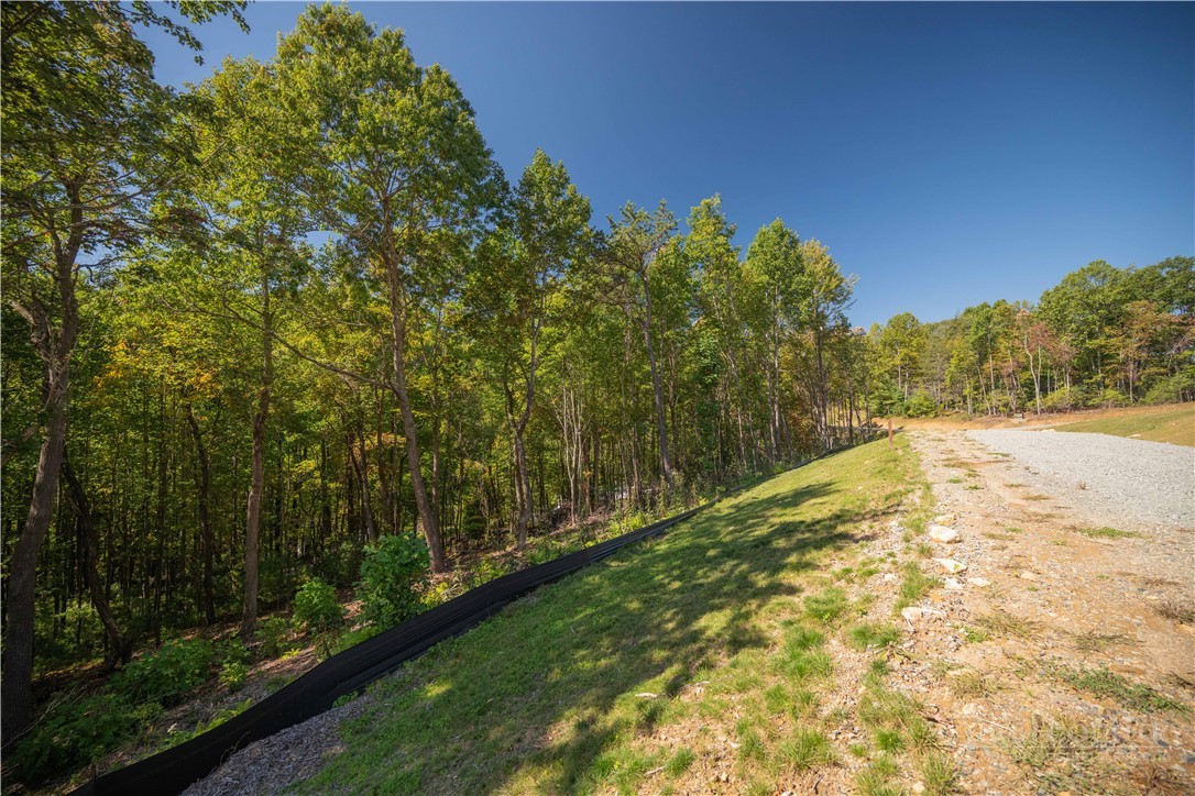 Lot 137 Angelfire Trail Property Photo 7