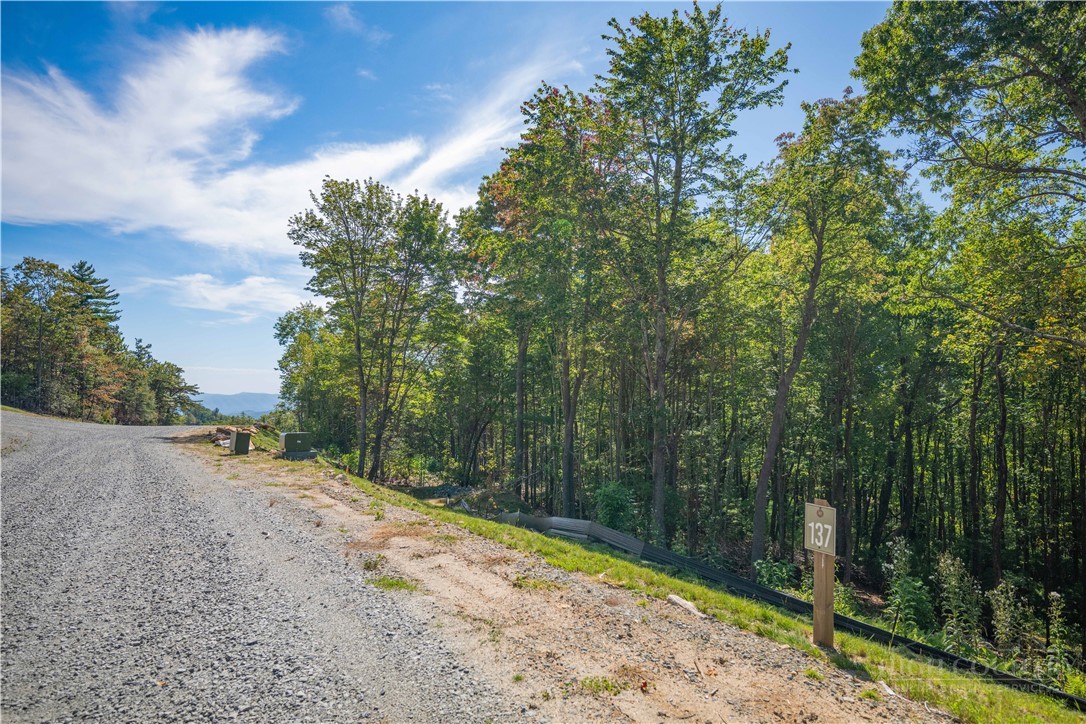 Lot 137 Angelfire Trail Property Photo 8
