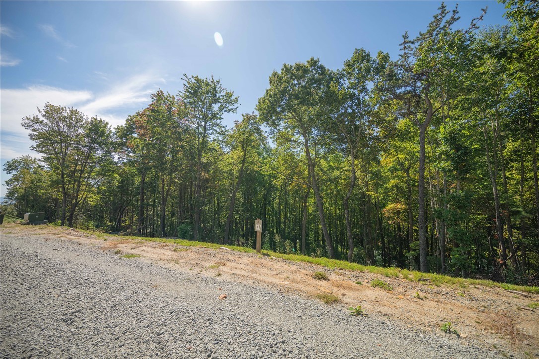 Lot 137 Angelfire Trail Property Photo 9
