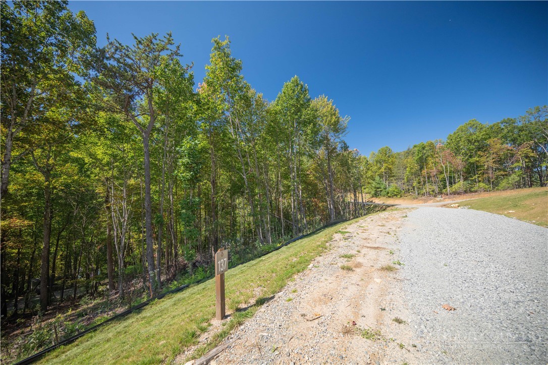 Lot 137 Angelfire Trail Property Photo 10