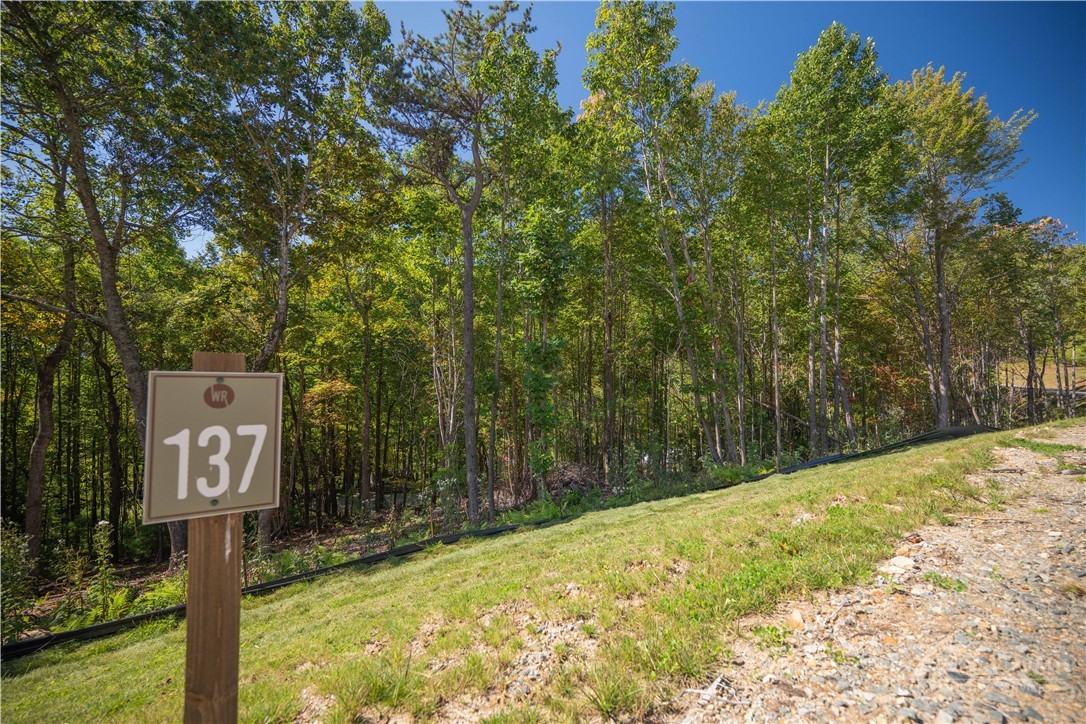 Lot 137 Angelfire Trail Property Photo 11