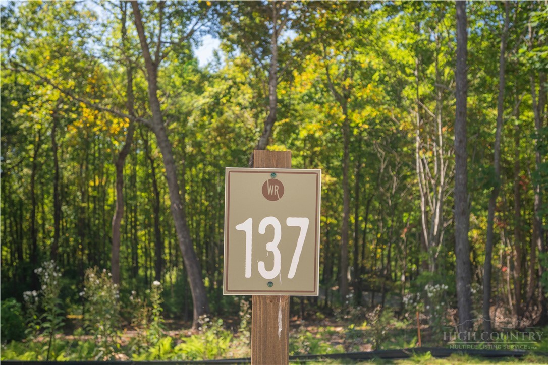 Lot 137 Angelfire Trail Property Photo 12