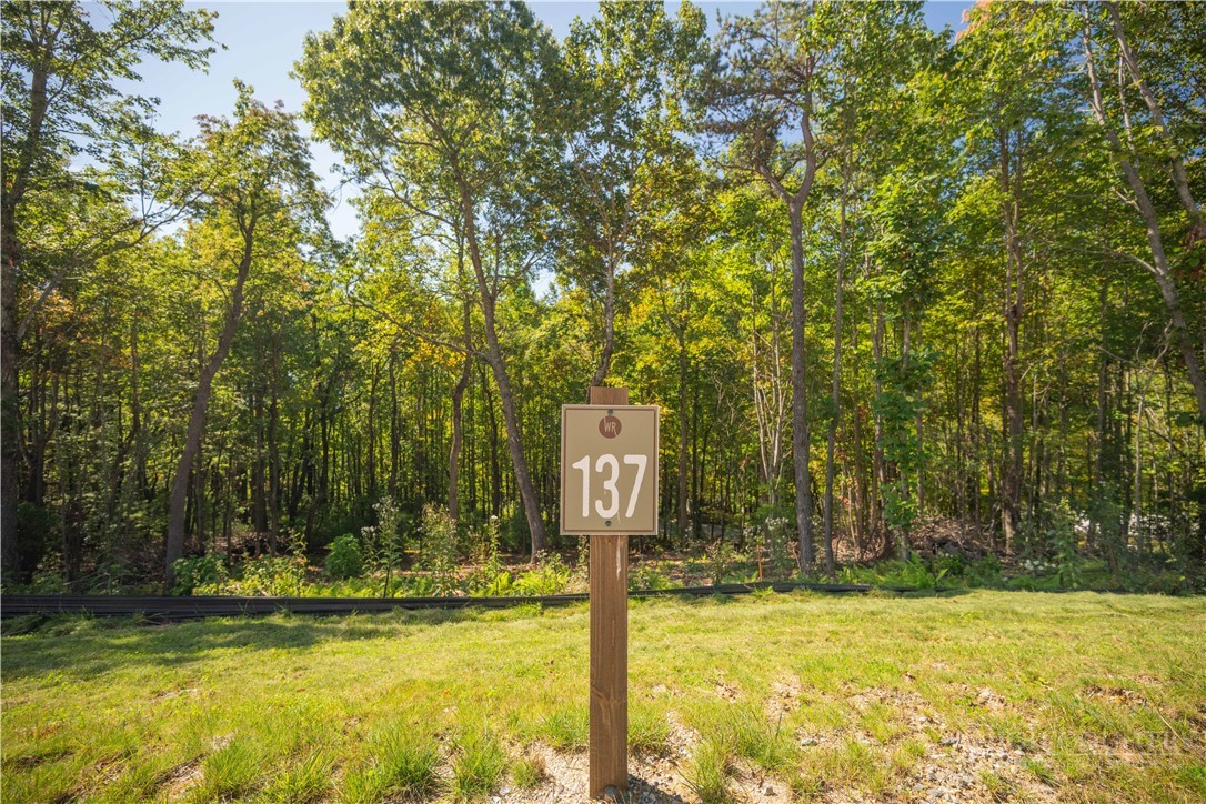 Lot 137 Angelfire Trail Property Photo 13