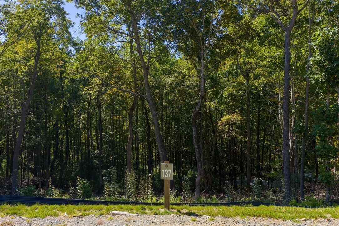 Lot 137 Angelfire Trail Property Photo 14