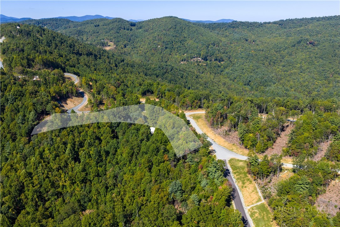 Lot 137 Angelfire Trail Property Photo 15