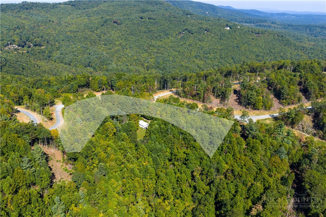 Lot 137 Angelfire Trail Property Photo 17