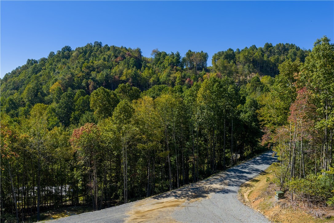 Lot 137 Angelfire Trail Property Photo 20