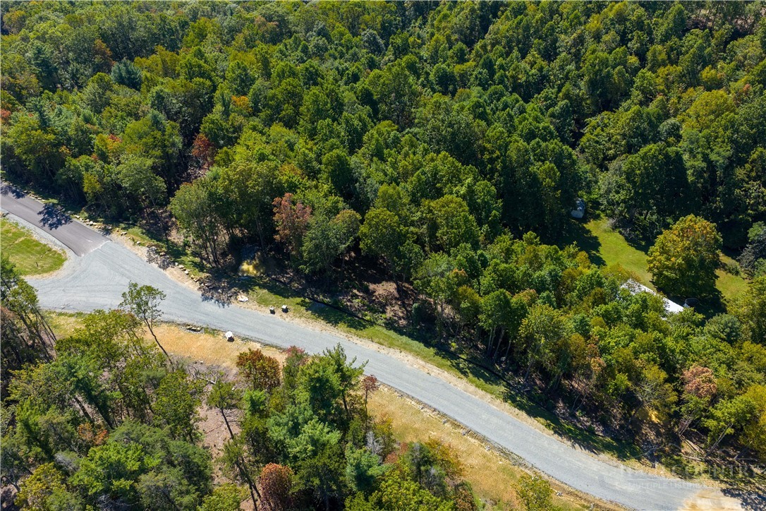 Lot 137 Angelfire Trail Property Photo 23
