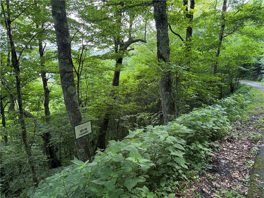 Tbd Crown Spruce Lane Property Photo 1