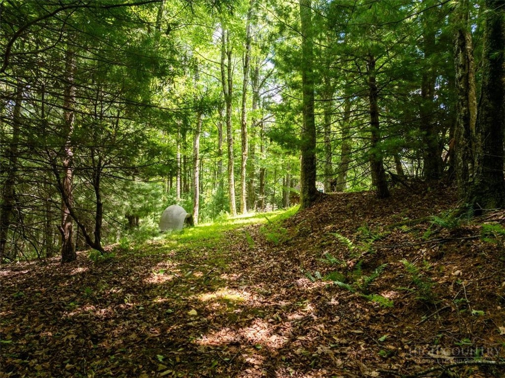 1218 Waterfall Road Property Photo 40