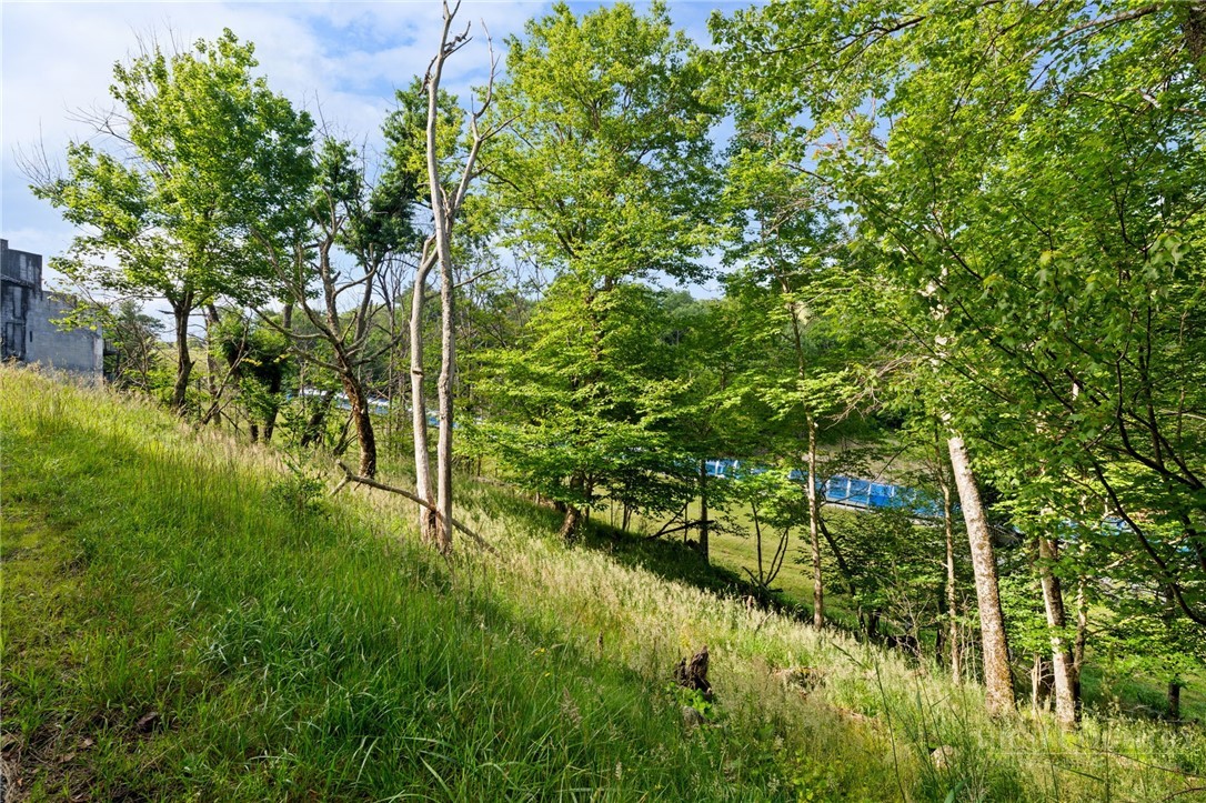 107 Wedling Weg Property Photo 2