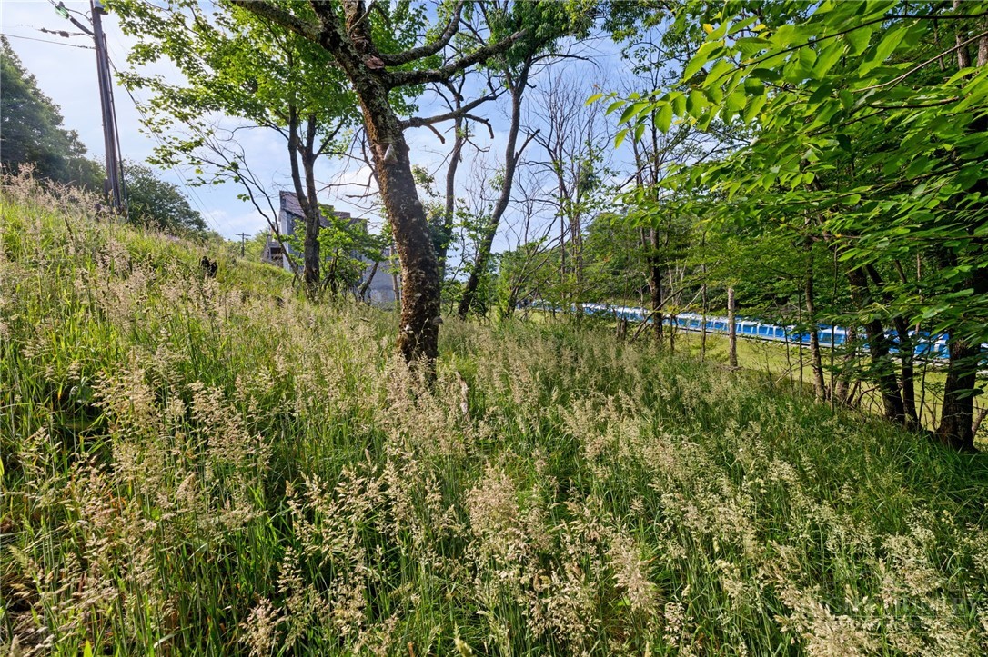 107 Wedling Weg Property Photo 7
