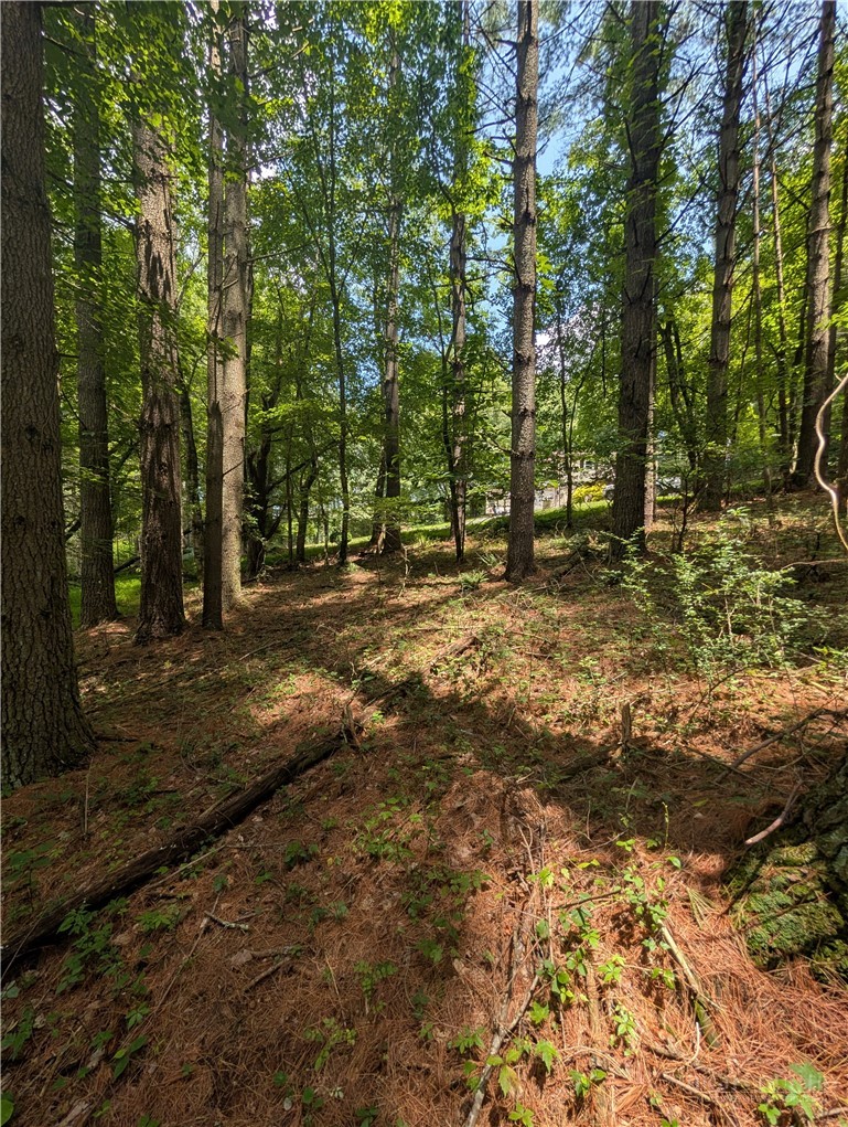 Tbd Doell Lane 20 Property Photo 4