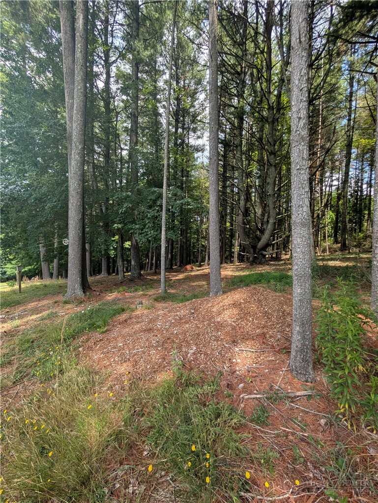 Tbd Doell Lane 20 Property Photo 6