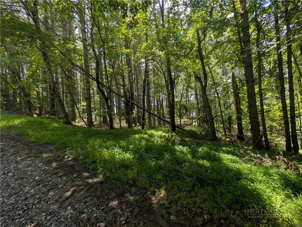 Tbd Doell Lane 20 Property Photo 9