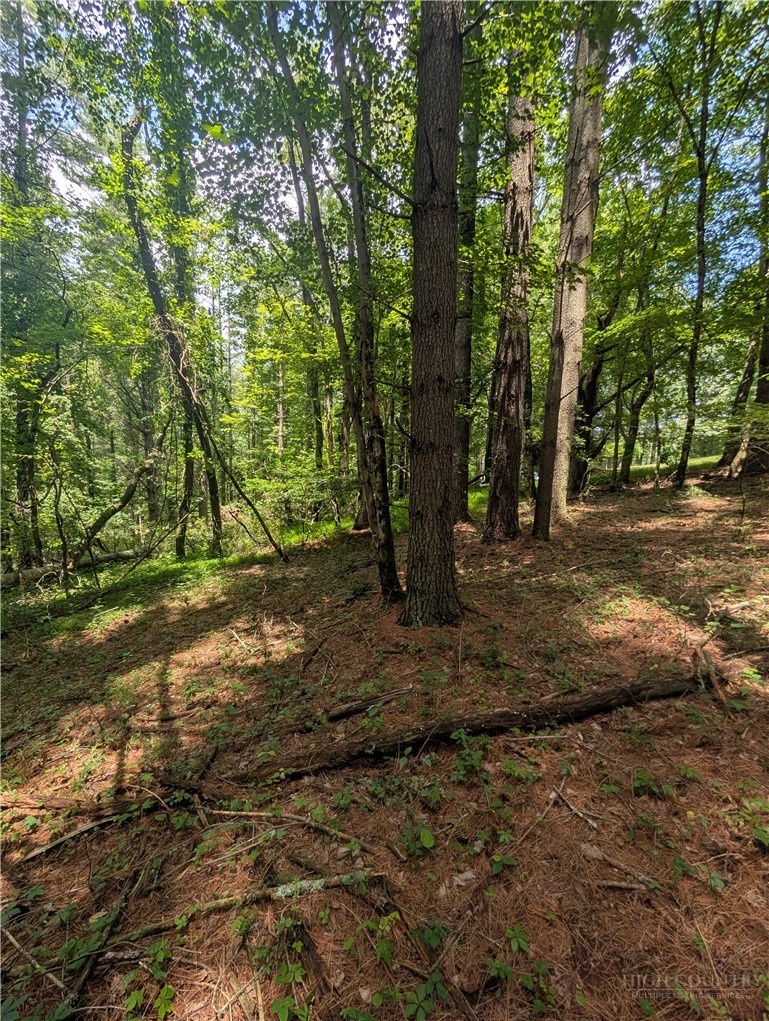Tbd Doell Lane 20 Property Photo 12