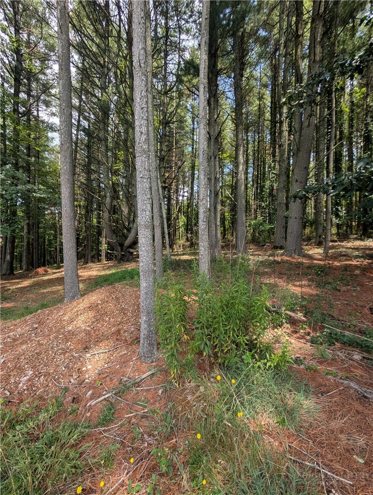 Tbd Doell Lane 20 Property Photo 15
