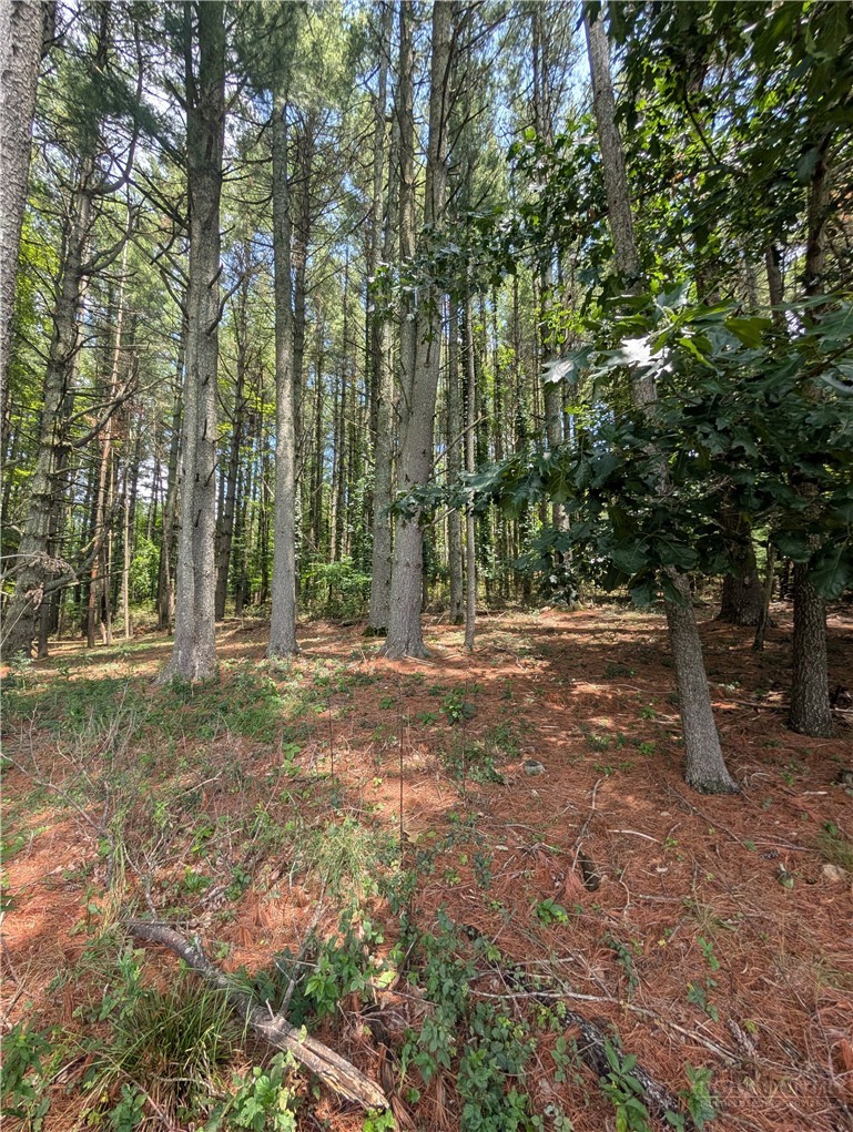 Tbd Doell Lane 20 Property Photo 16