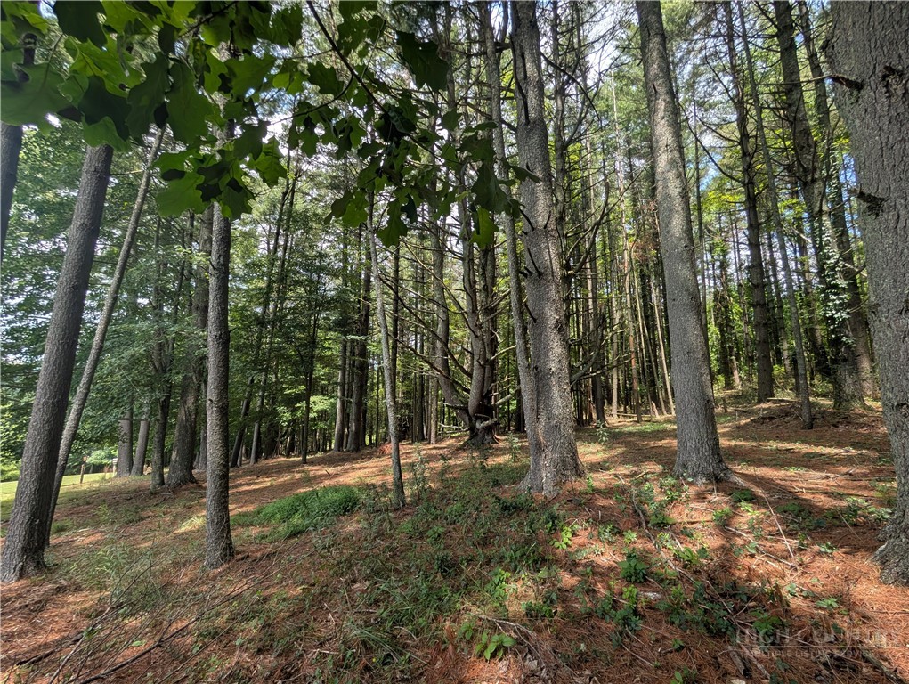 Tbd Doell Lane 20 Property Photo 17