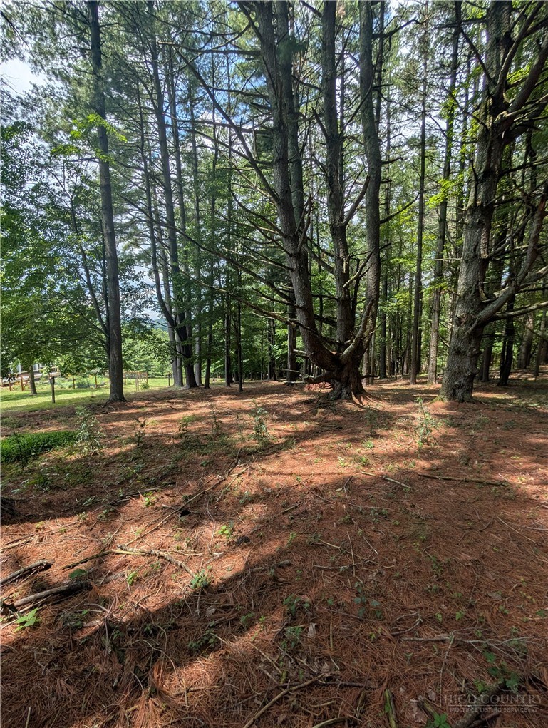Tbd Doell Lane 20 Property Photo 18