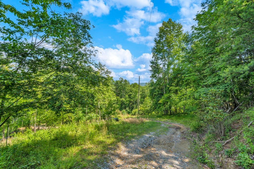 Tbd Huskins Mountain Road Property Photo 3