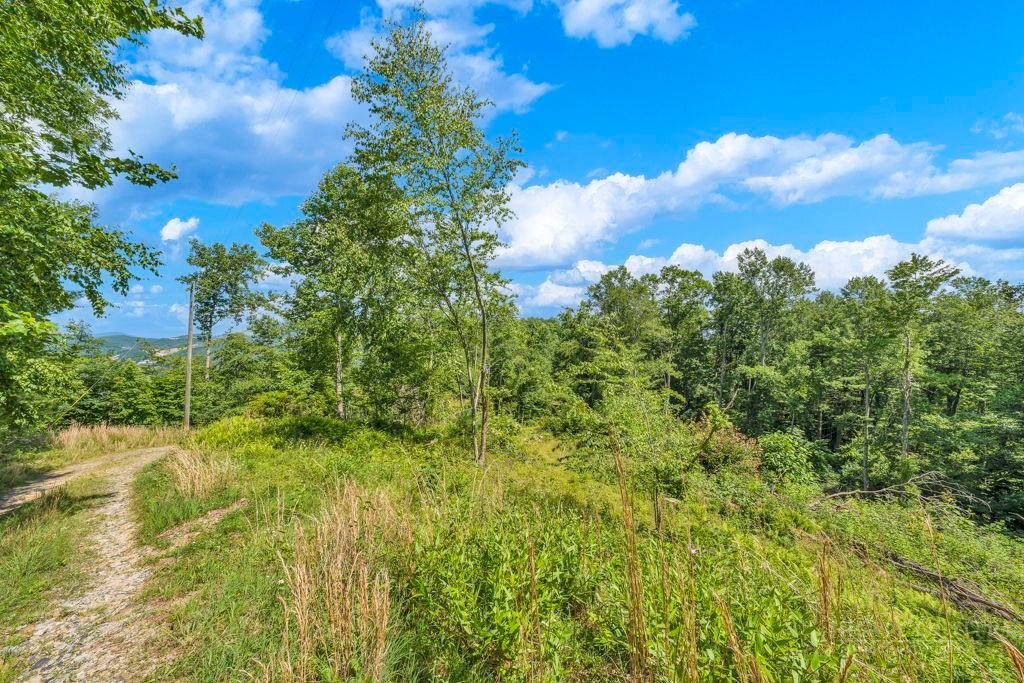 Tbd Huskins Mountain Road Property Photo 4