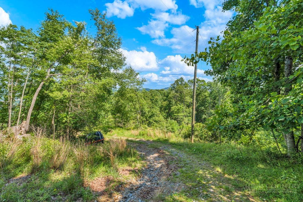 Tbd Huskins Mountain Road Property Photo 5