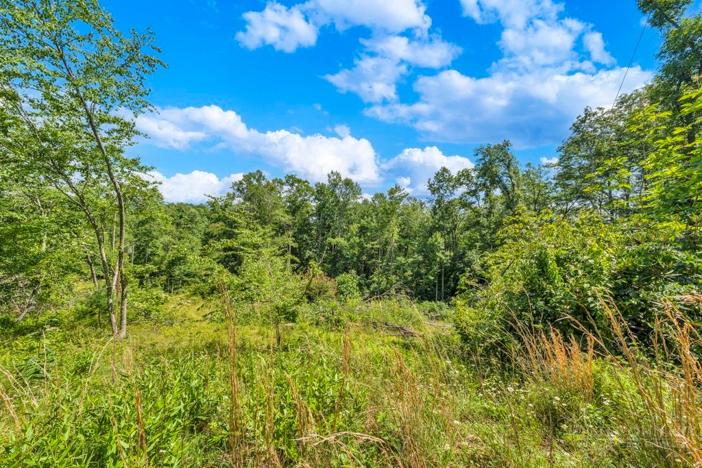 Tbd Huskins Mountain Road Property Photo 6