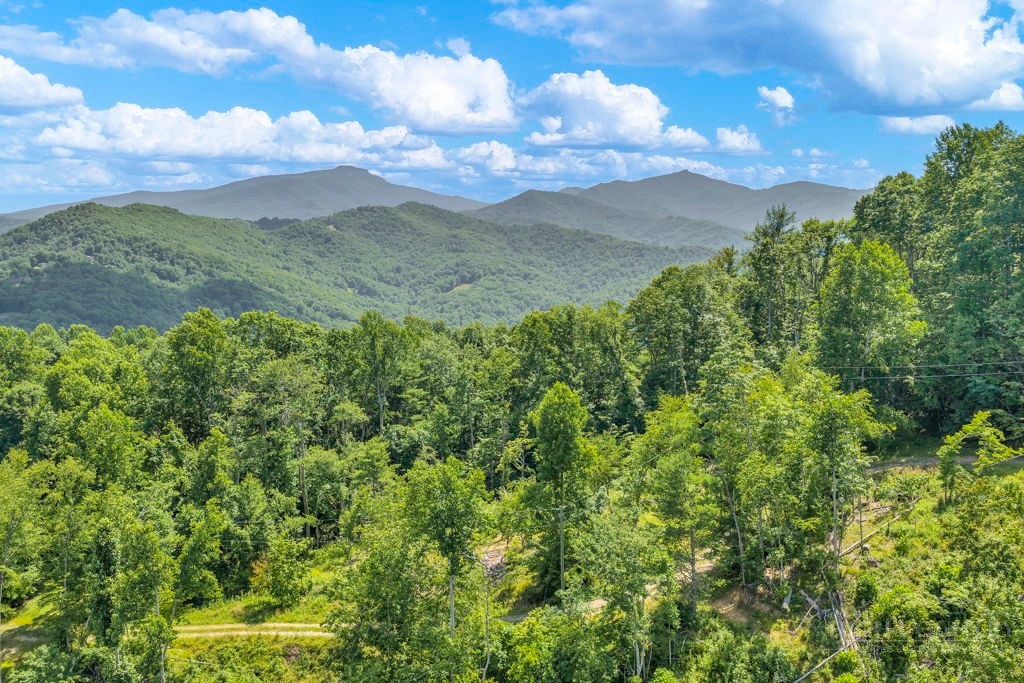 Tbd Huskins Mountain Road Property Photo 20