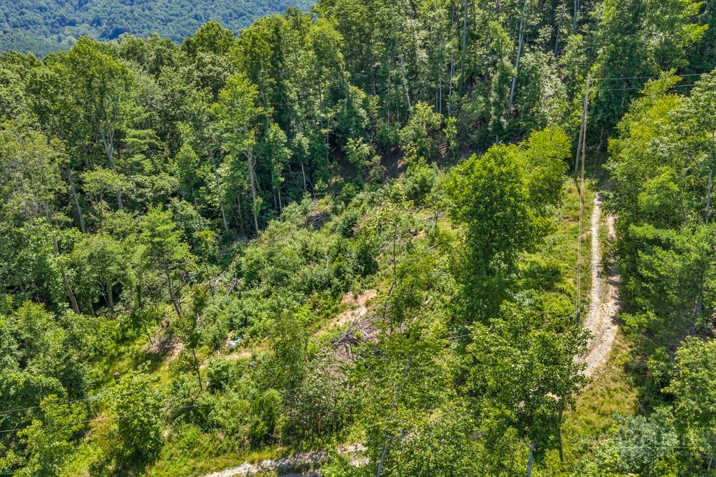 Tbd Huskins Mountain Road Property Photo 23