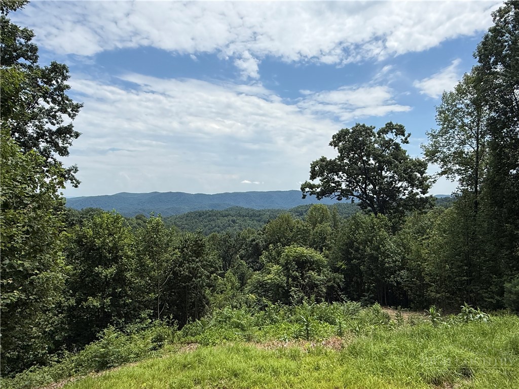 Tbd Lost Ridge Road Property Photo 3