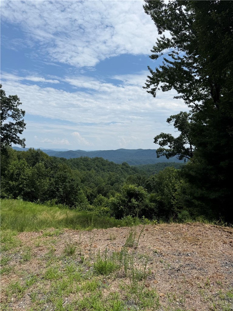 Tbd Lost Ridge Road Property Photo 4